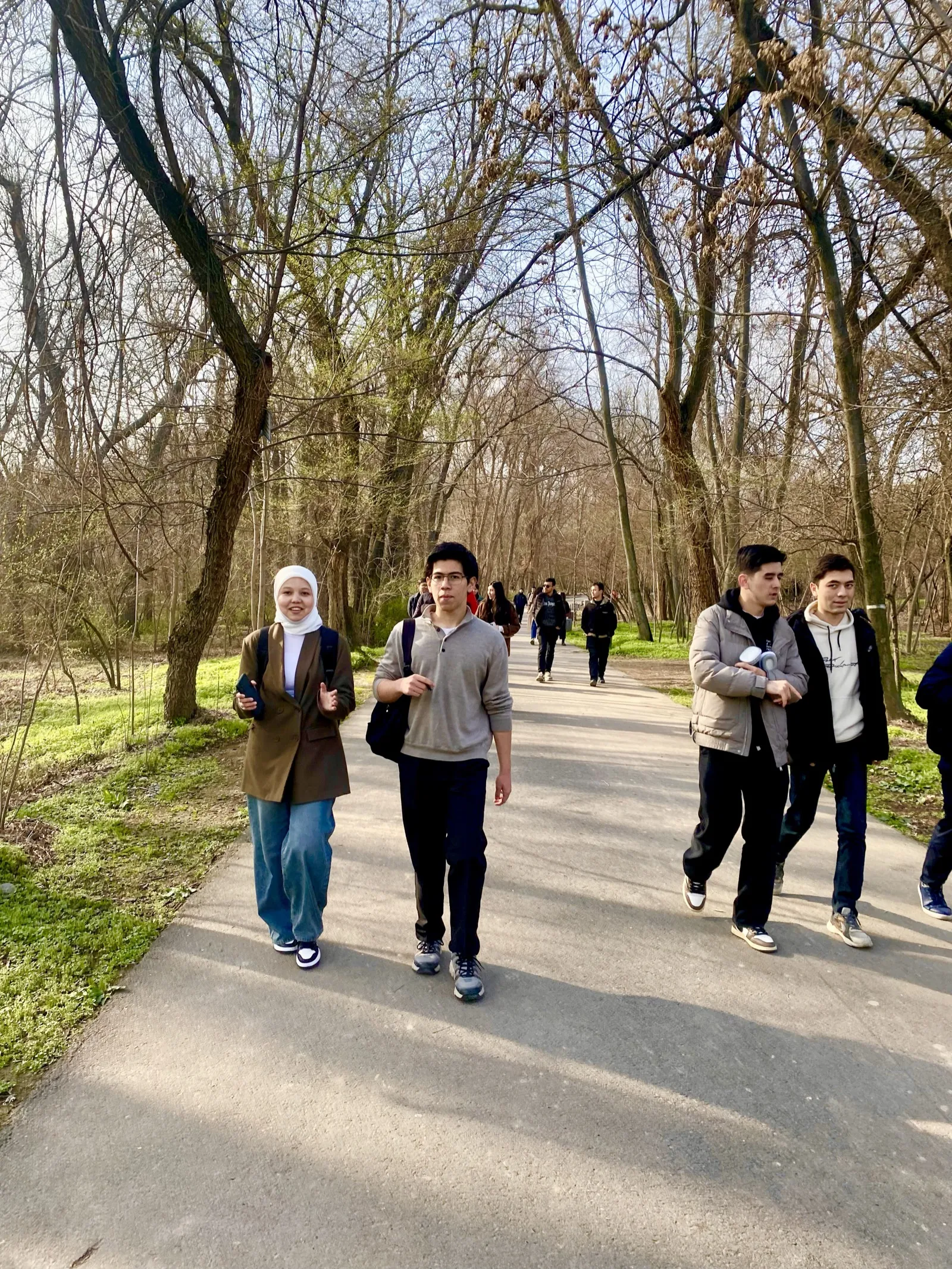 Walkers on a tree-lined path