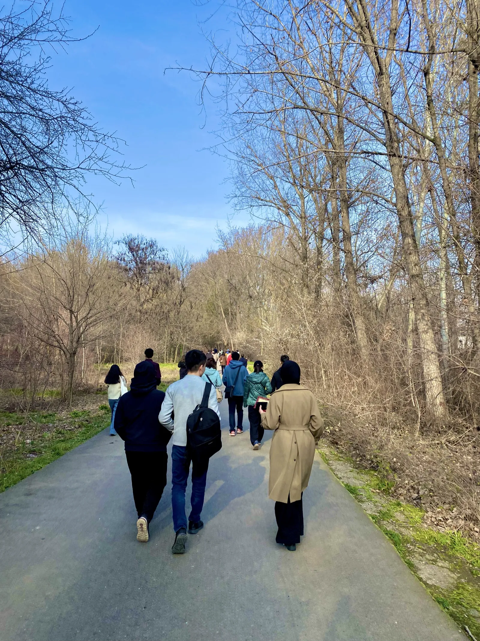 Friends talking side by side on a walk